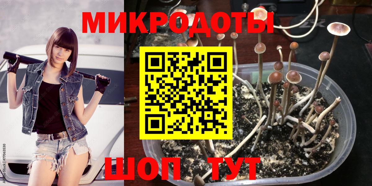 Псилоцибиновые грибы ЛСД Медногорск